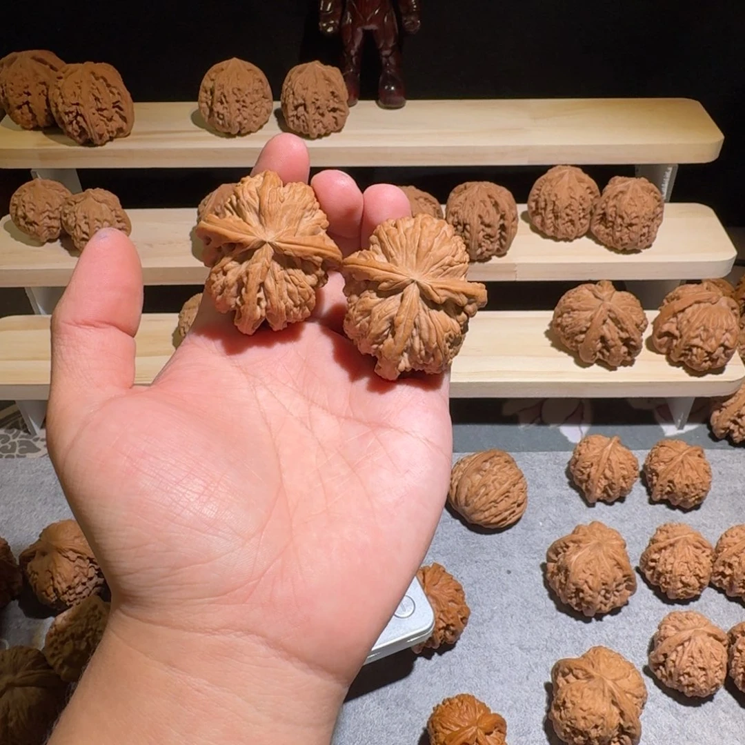 大叶紫檀（黑酸枝木类）