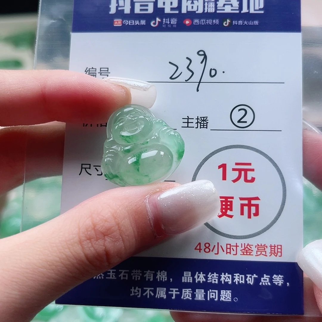 石英质玉未镶嵌颈饰