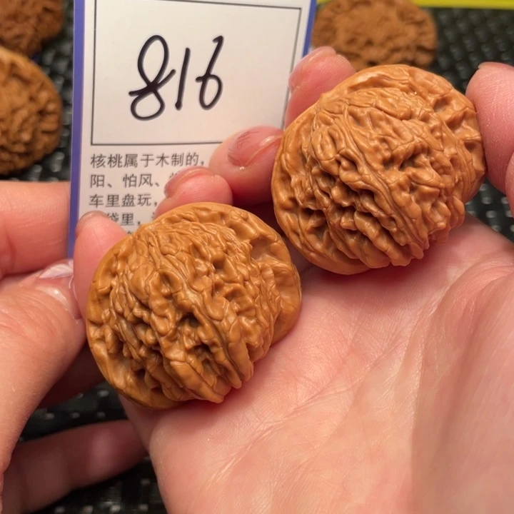 文玩核桃把件42楼子816