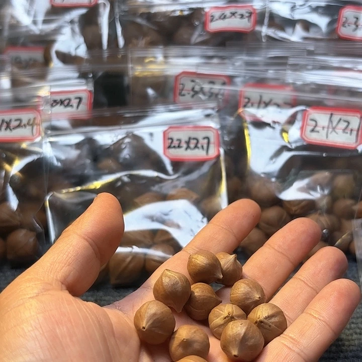 环***店吊坠橄榄核1.4❌1.9素核