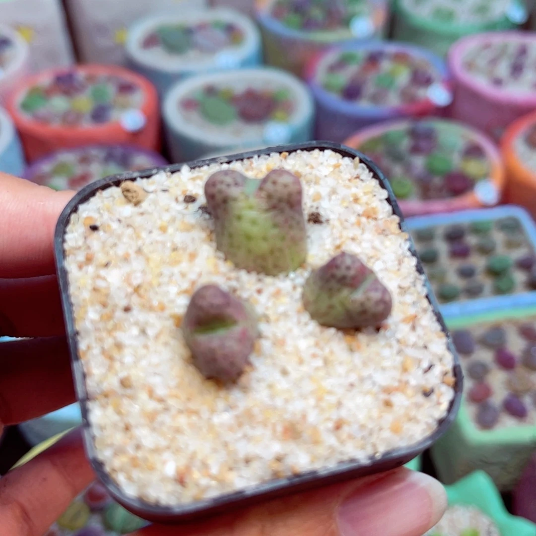 156。88888888888888888888