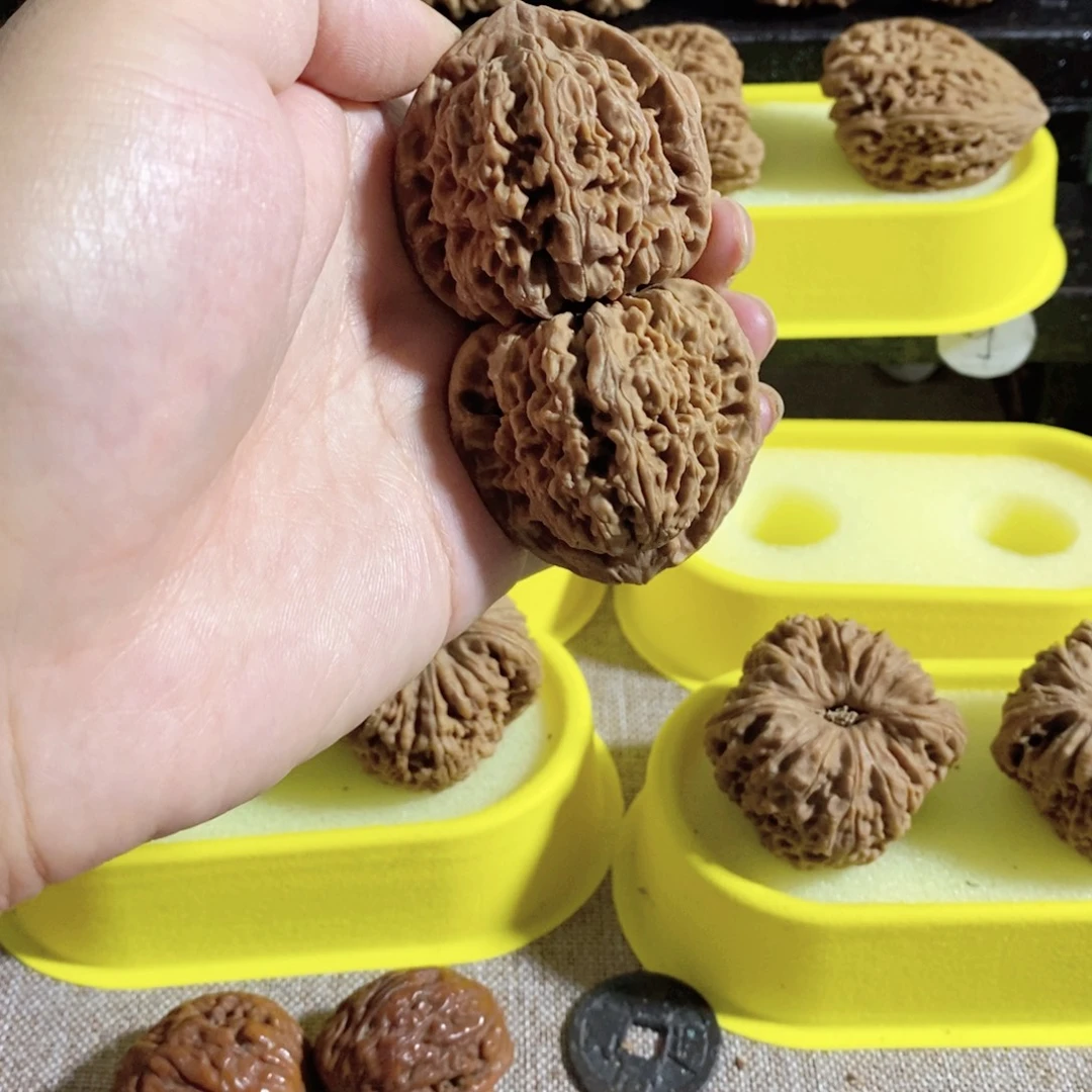 木质类开背三角肩的小