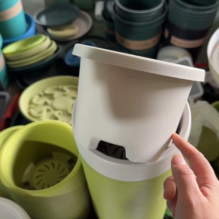 球根17口径10个无托灰白