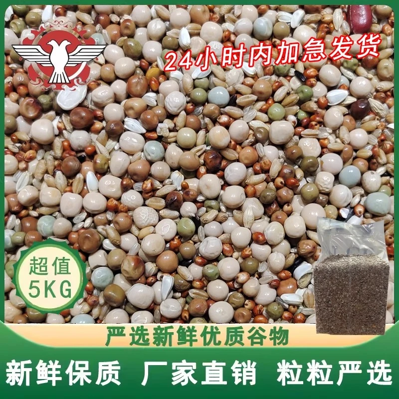 品龙幼鸽鸽粮5KG无玉米江浙沪皖包邮鸽饲料鸽子粮食种鸽赛飞鸽食