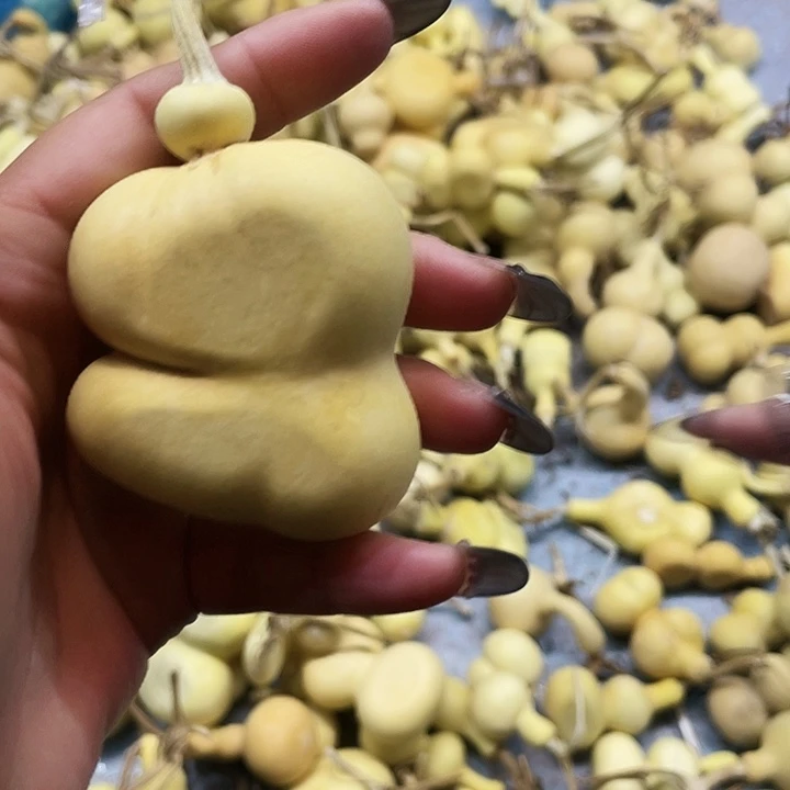 比***耶大叶紫檀（黑酸枝木类）