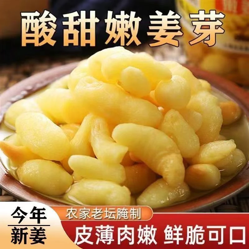 枸杞嫩姜芽酸甜爽口好吃不贵 250g/包 包邮到家-1