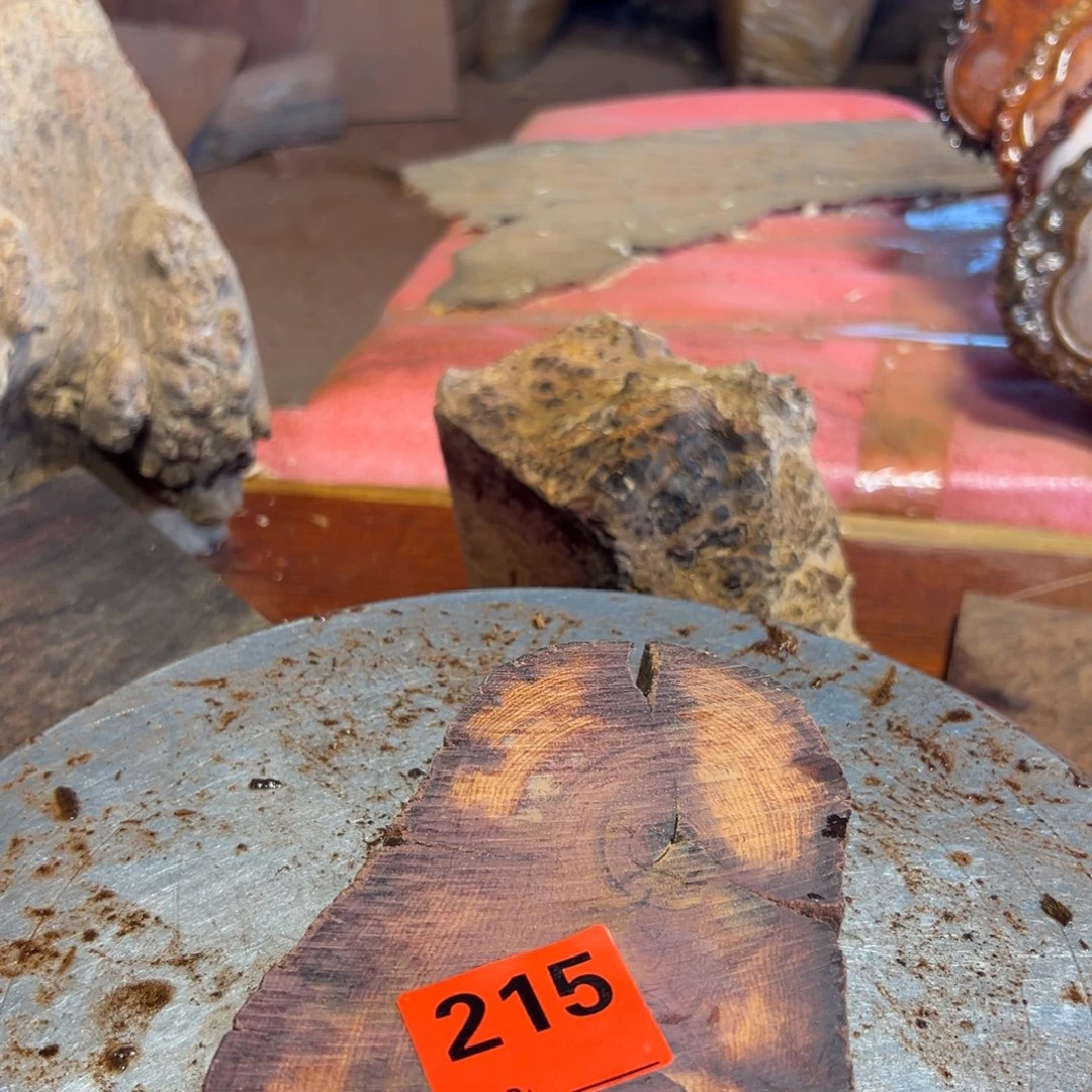 大果紫檀（缅甸花梨）