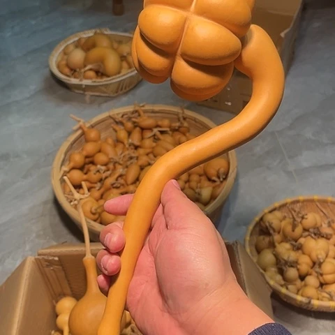 方*葫芦葫芦葫芦葫芦