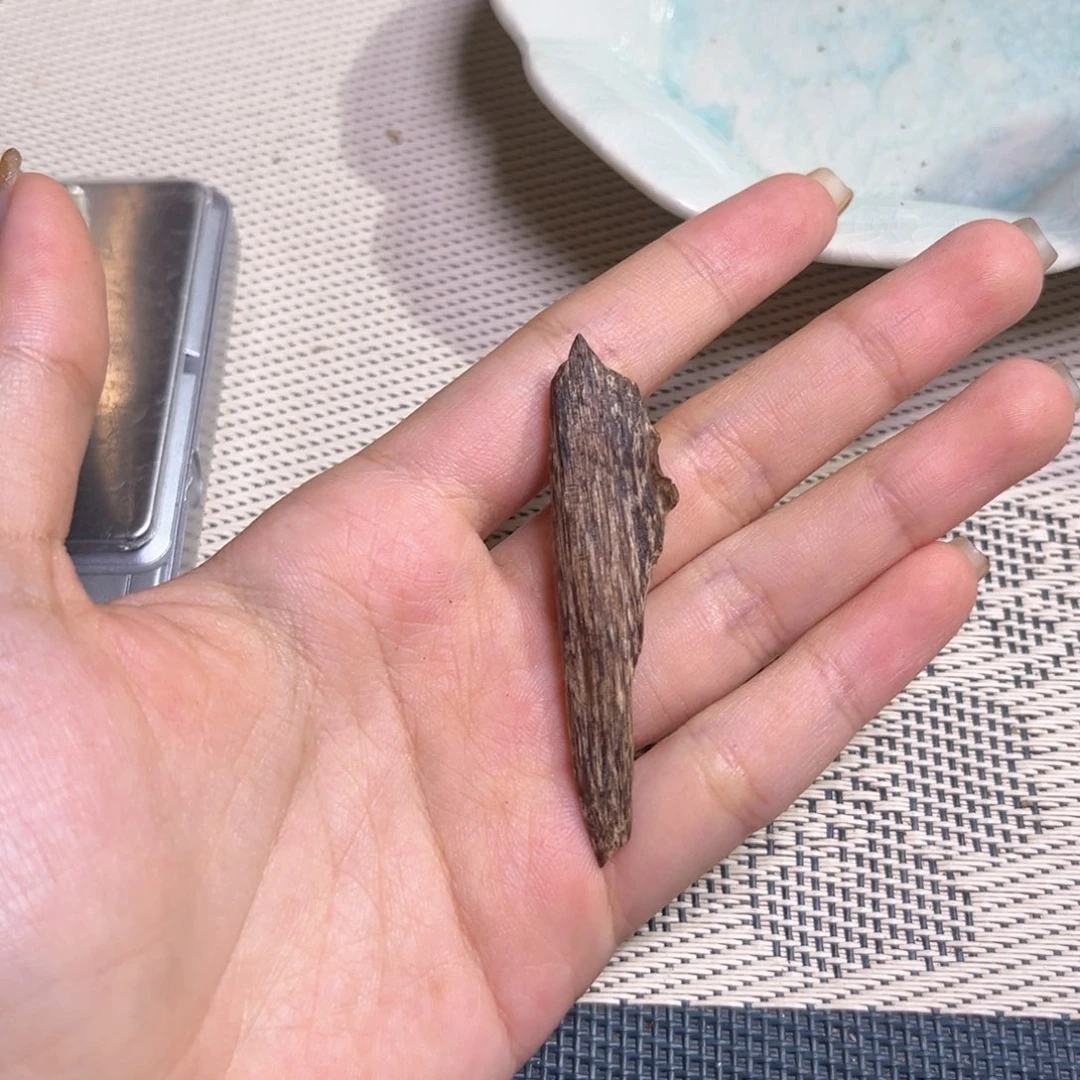 香榧木海南大山生结牙沉1.7克