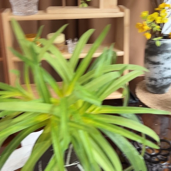 拍摄大福利大福利