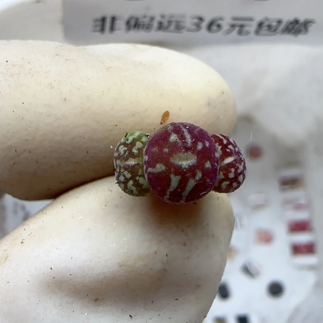 692福利福利福利