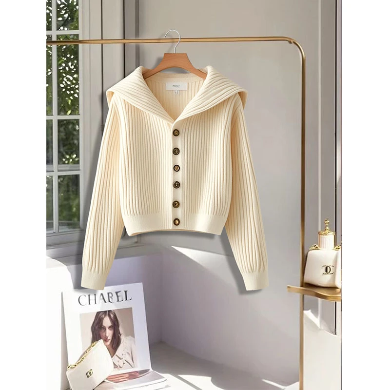 纯欲慵懒风女装纯色时尚百搭针织衫早秋季新款高级感洋气长袖上衣