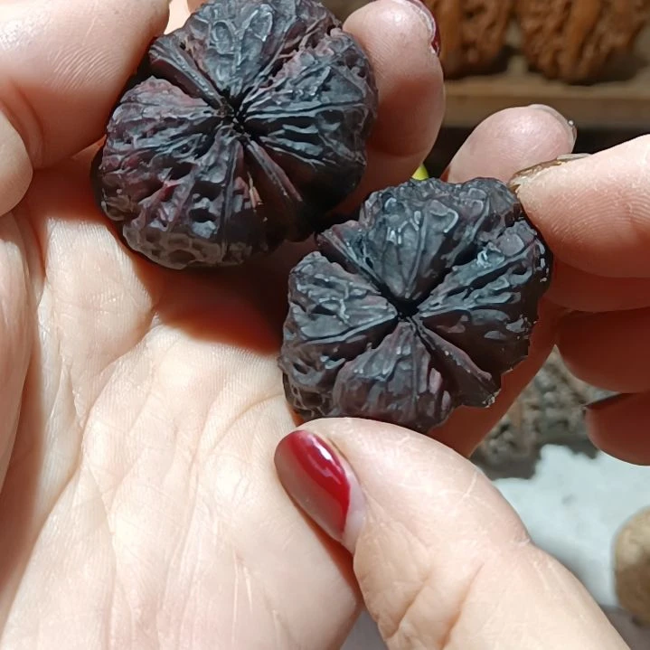 把件文玩核桃666666666666