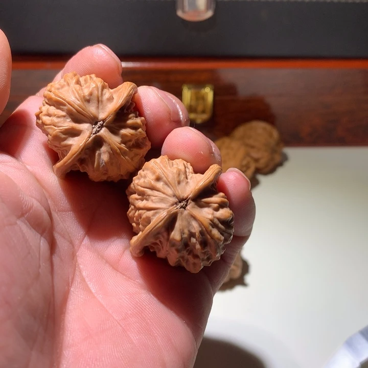 文玩核桃把件刘***.九龙山