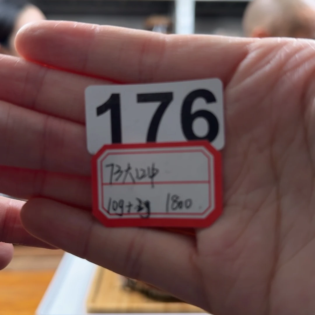 176…………………………………………