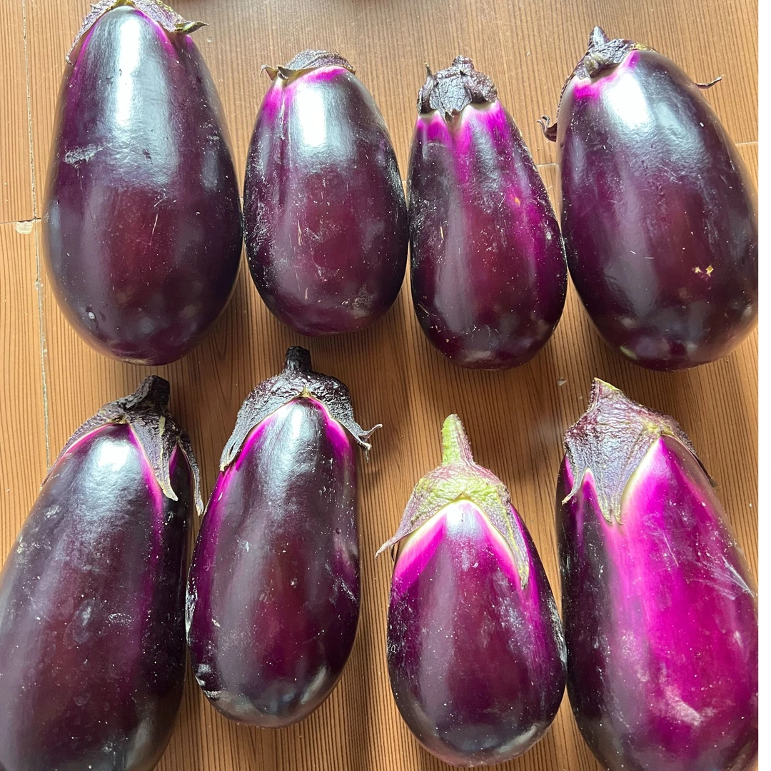 湖南本地 露天种植 新鲜茄子 农家自种 3斤