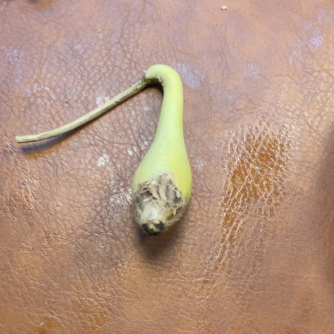 何***峰葫芦葫芦葫芦葫芦葫芦