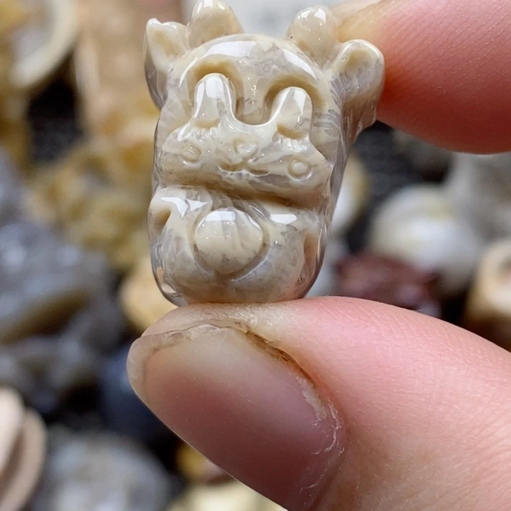 颈饰未镶嵌硅化珊瑚（珊瑚玉）小