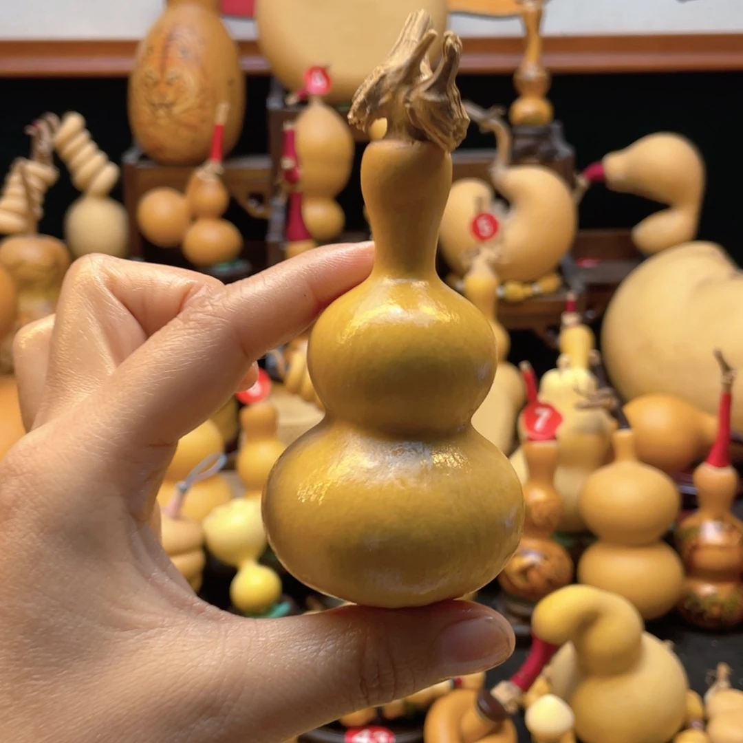 葫**儿大自然的秘密是什么啊我
