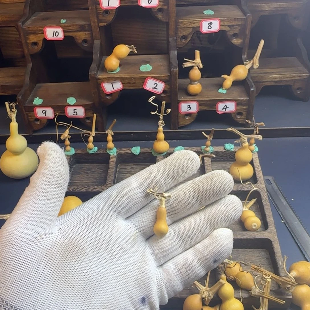 七*吖我也是很喜欢这个节目了这个