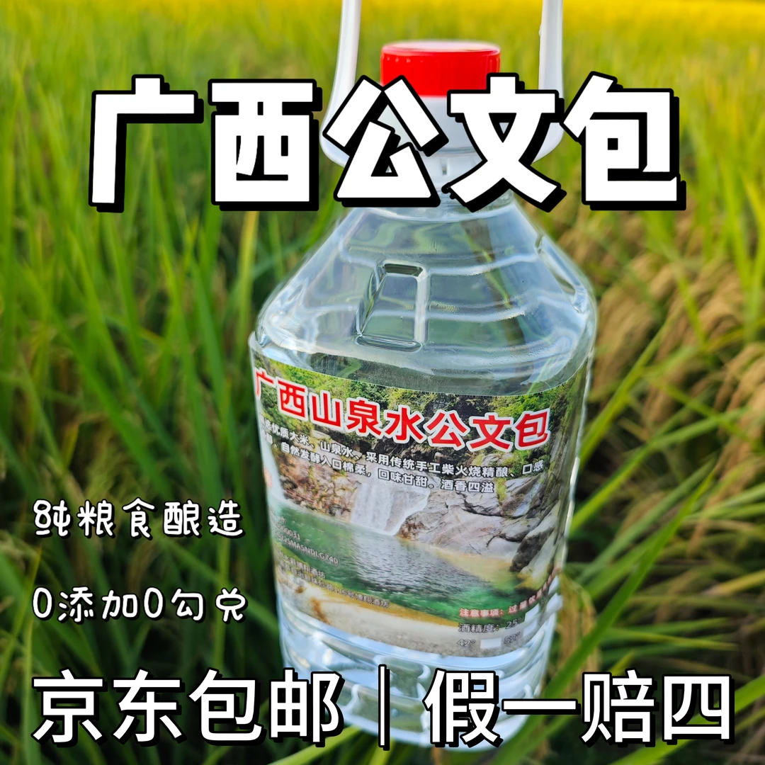 广西柳州公文包融水大苗山泉水精酿纯粮食米酒泡酒专用0添加0勾兑