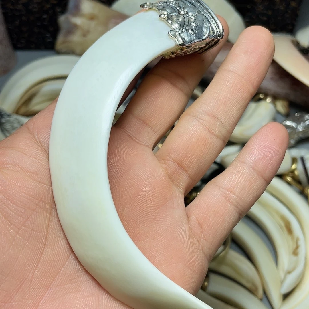 猪牙手串/手链猪牙