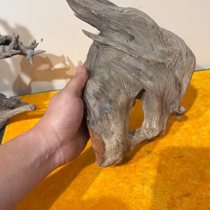 翔***龍柏木（崖柏）法规和将计就计