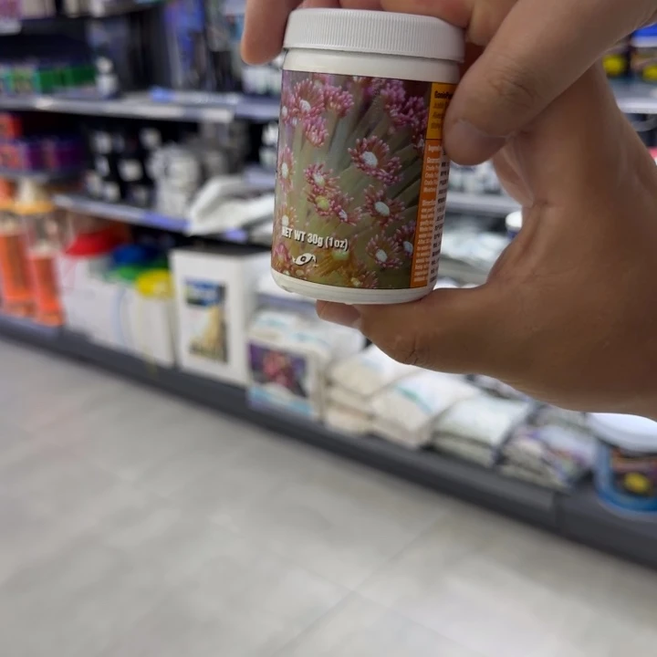 两只小鱼宝石花珊瑚粮