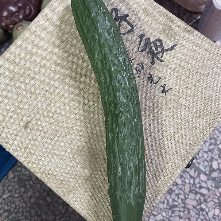 紫砂紫砂紫砂说这是真的