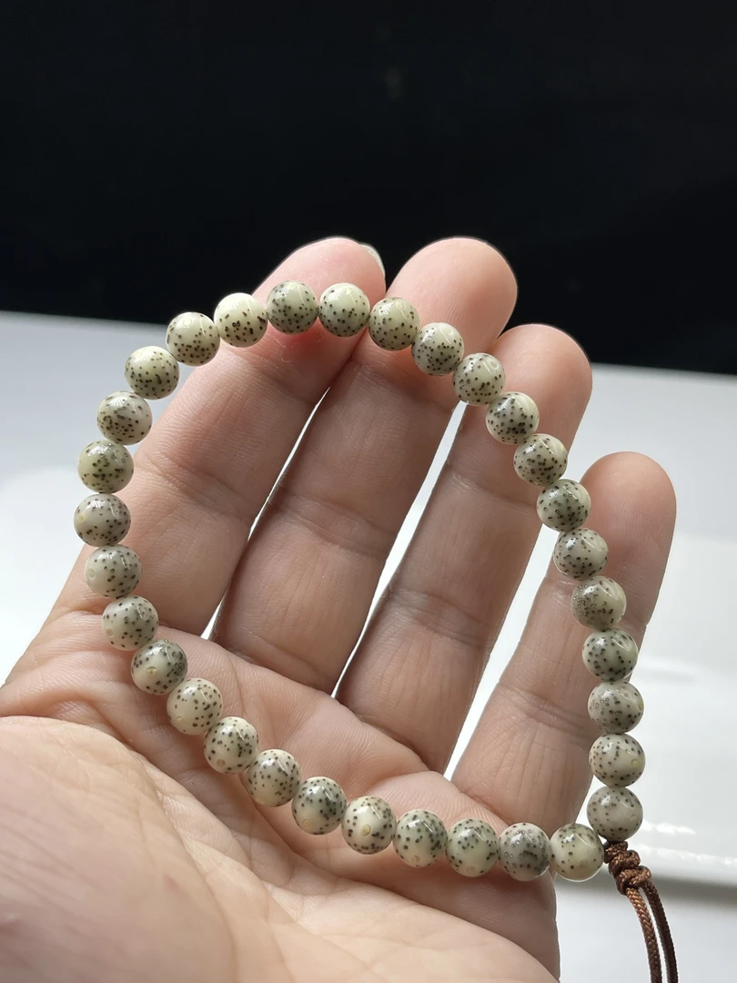 压车勿拍，海南星月菩提，编号1