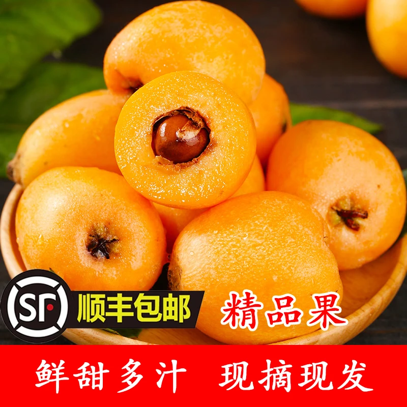 【顺丰包邮】四川大五星枇杷  现摘现发3斤装