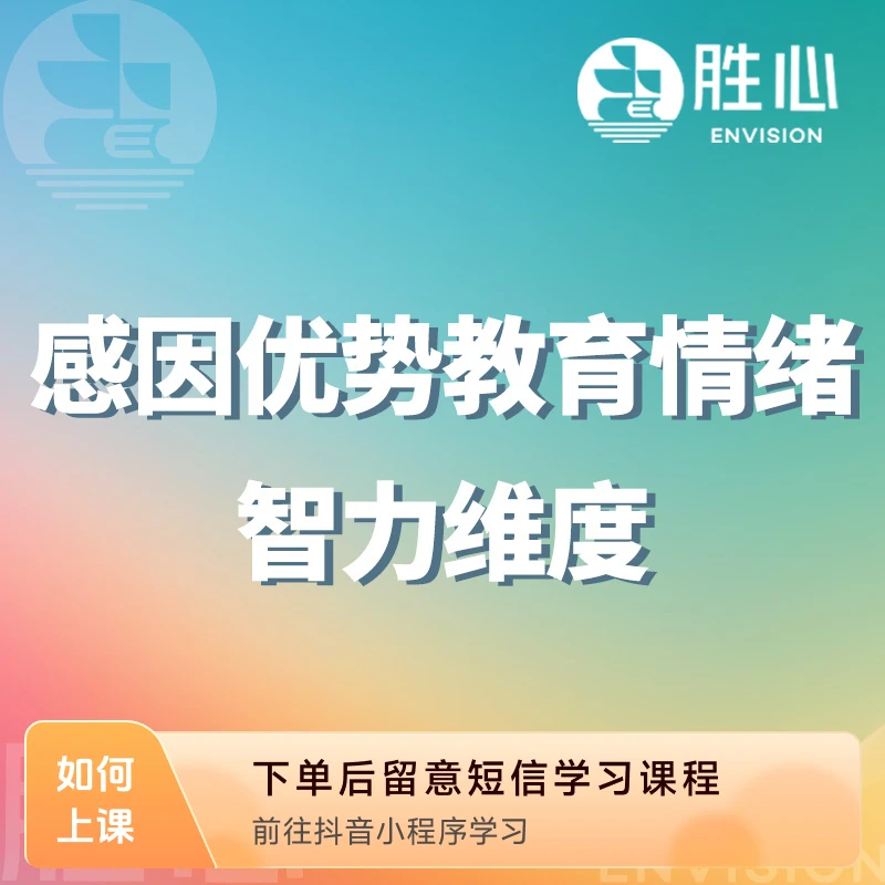感因优势教育 - 情绪智力维度