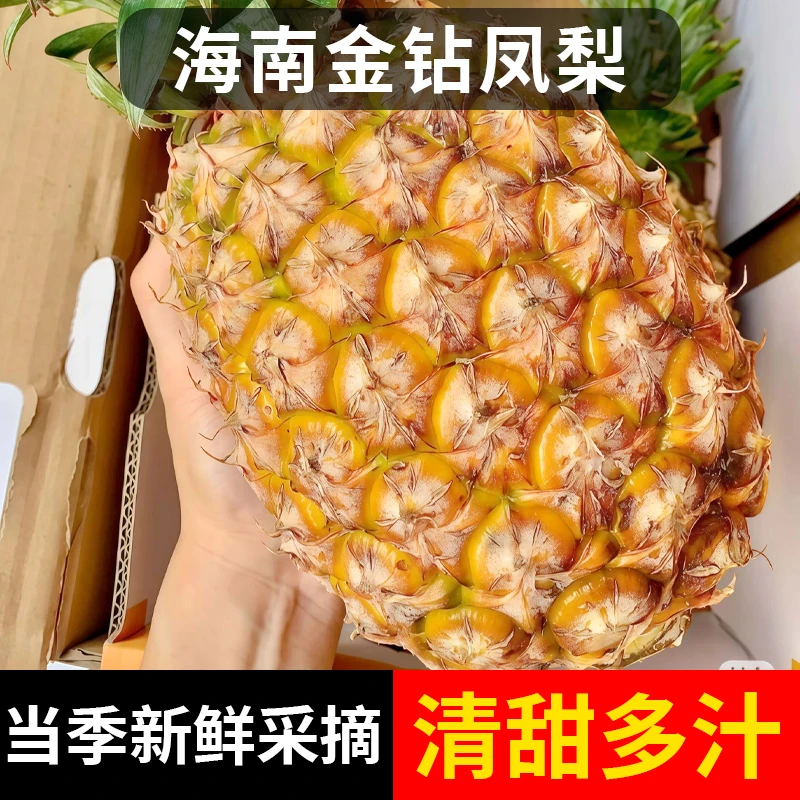 海南金钻凤梨新鲜当季水果脆甜多汁孕妇可食非香水菠萝