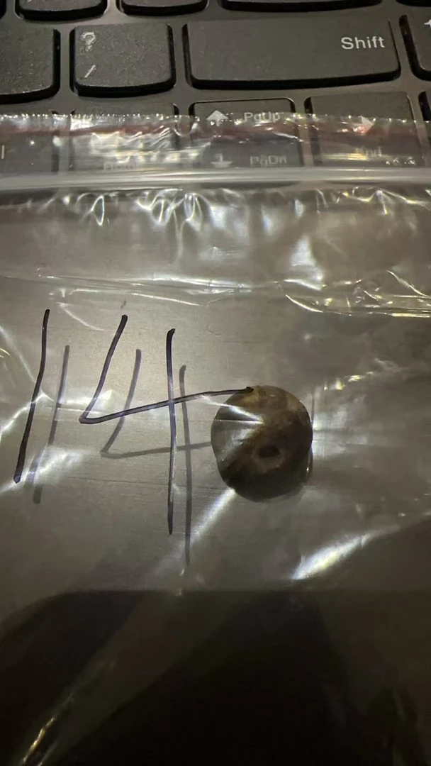 藏地密码，藏式珠子14