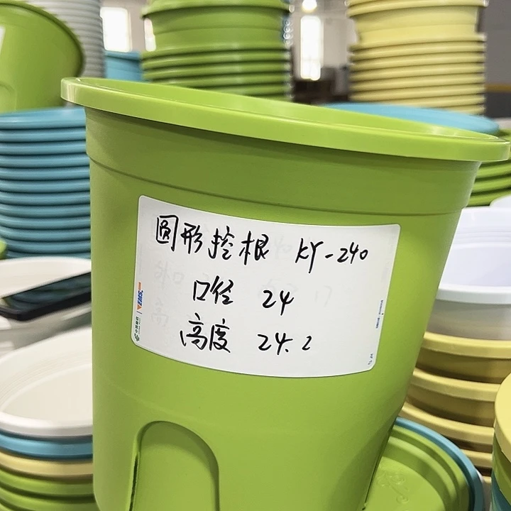 正品圆控口24高24果绿无托8只