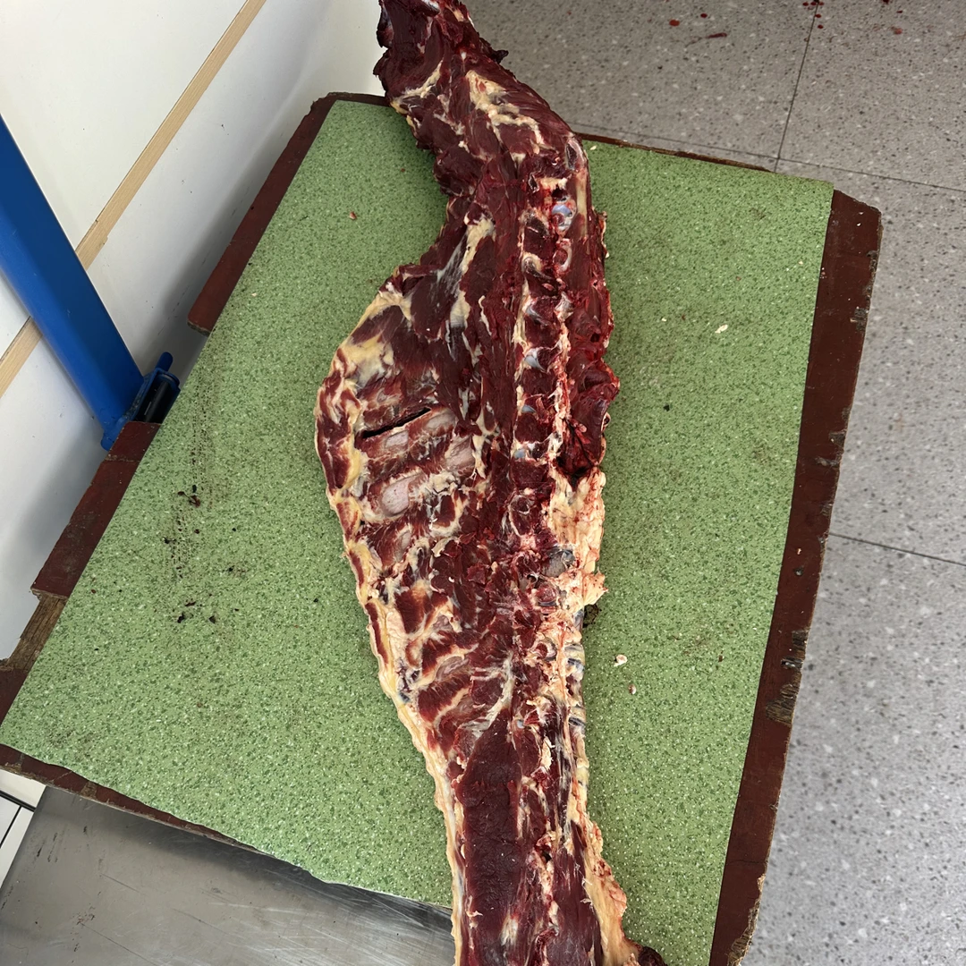 果洛甘德本地草膘牦牛大骨12斤