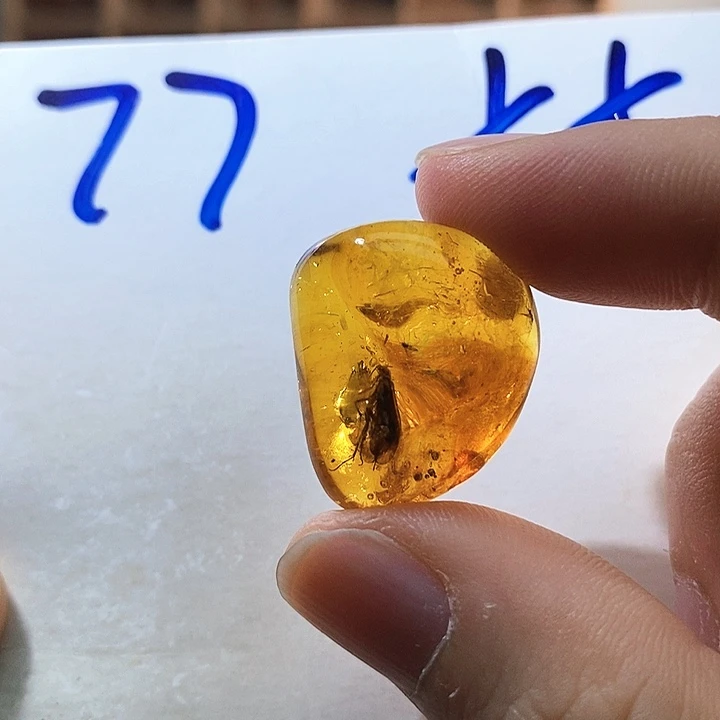 定制琥珀琥珀虫珀飞蛾