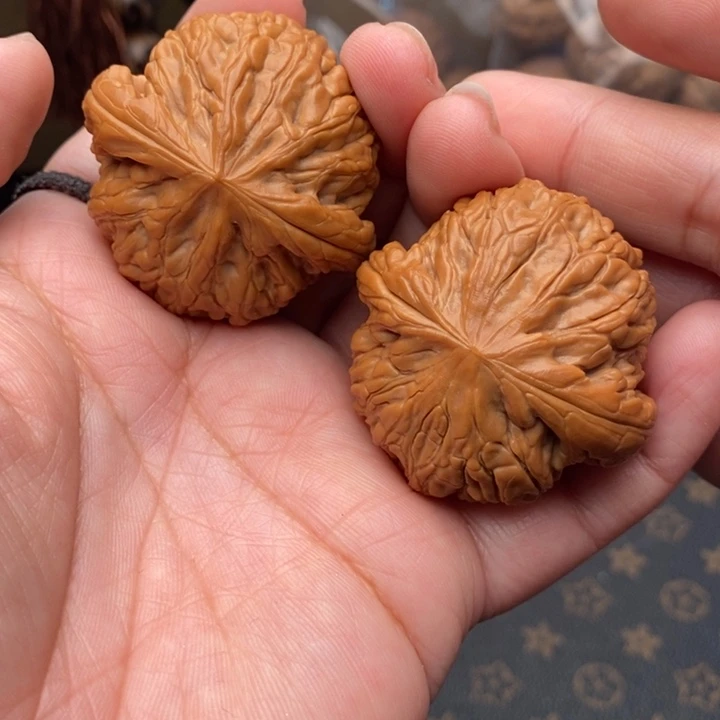 核桃虎头王43尺核桃