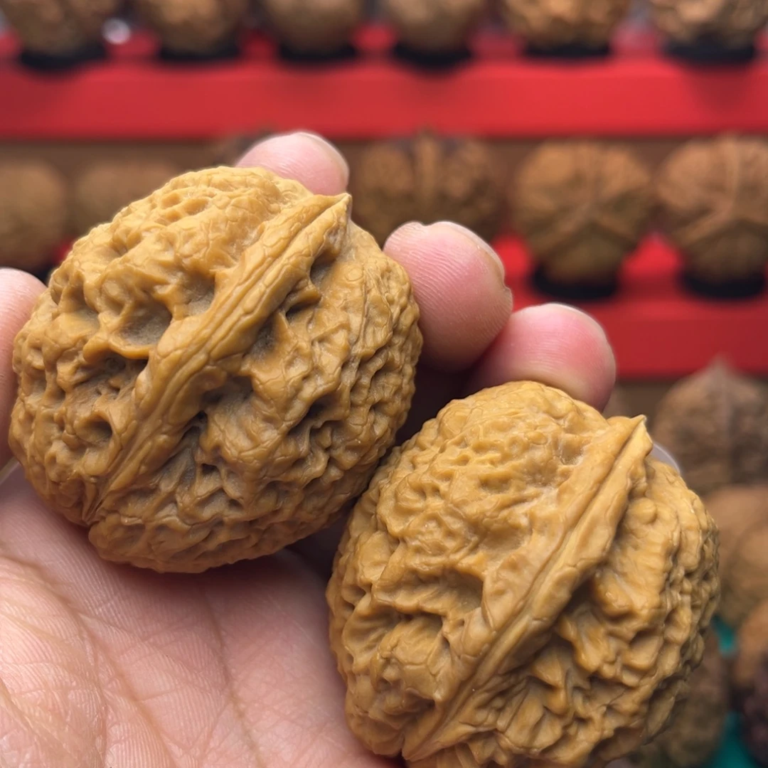 核桃7号橄榄石41尺