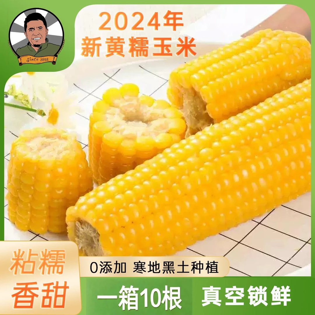 东北 糯九 黄糯香甜 250g*10 根一箱  不分大小 真空保鲜糯玉米