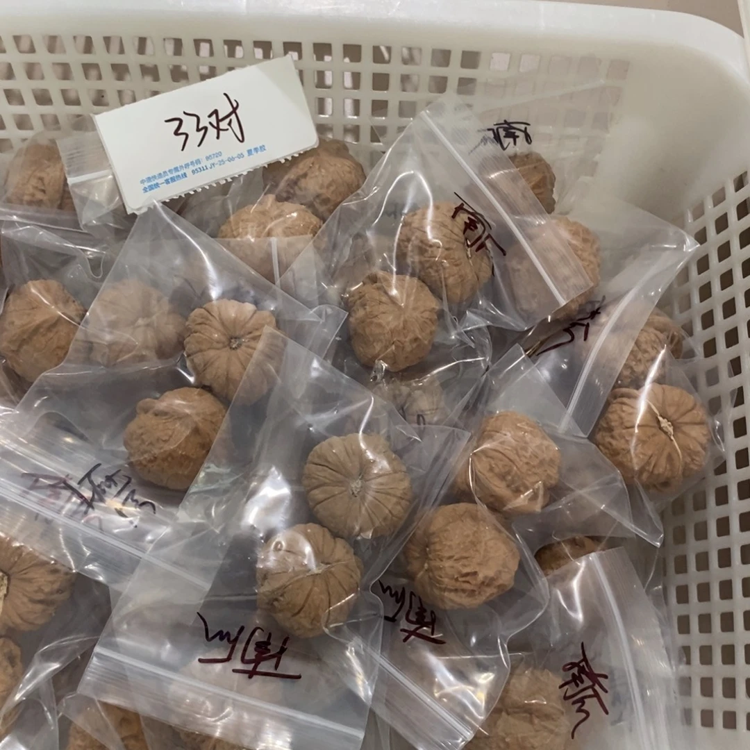 文玩核桃吊坠南瓜墩一般对团购