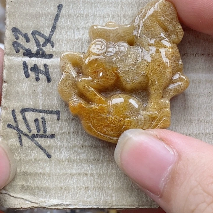 颈饰未镶嵌硅化珊瑚（珊瑚玉）A****y