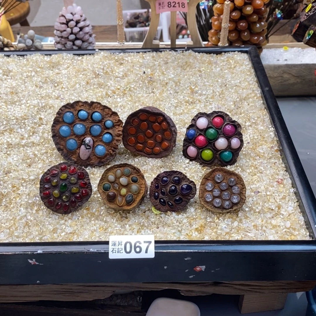 核桃木/黑胡桃（胡桃木）庐****女067