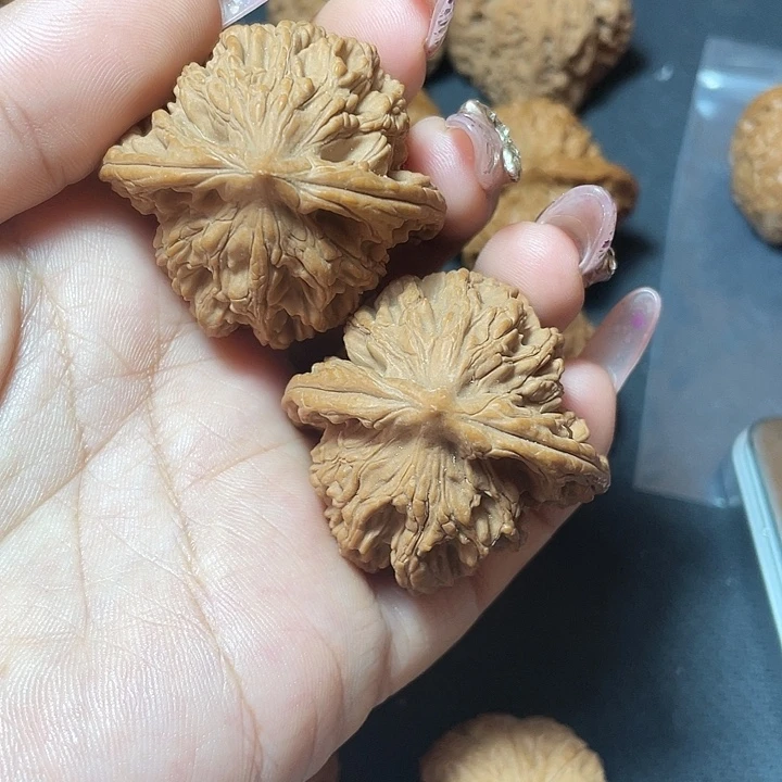 全品麦穗虎头42
