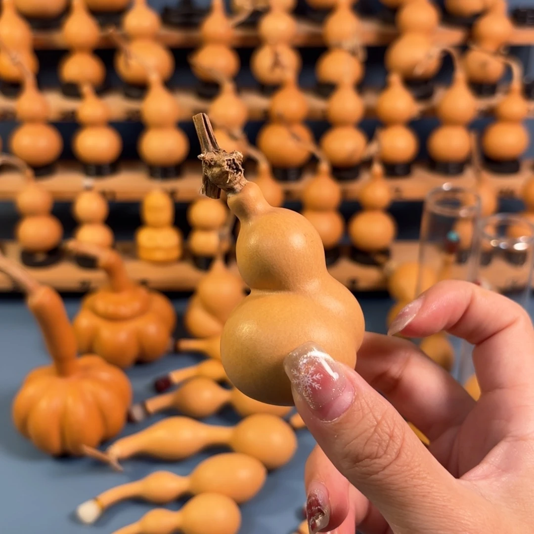 高***生木木木木木木木木木木木木木木