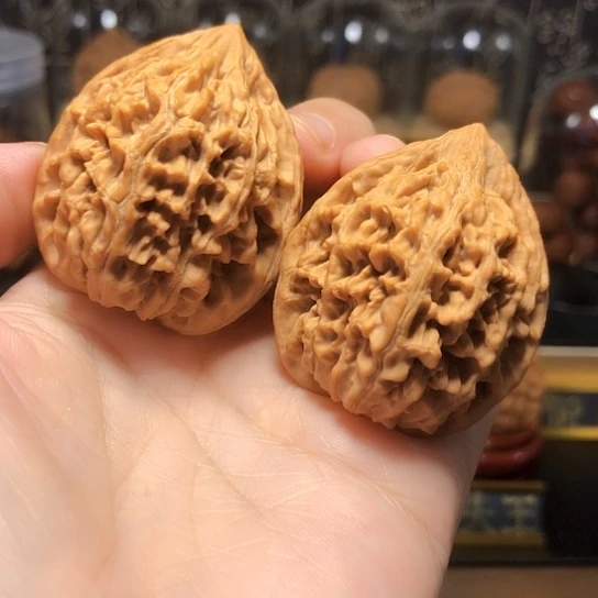 野生小众：秦鸡全品