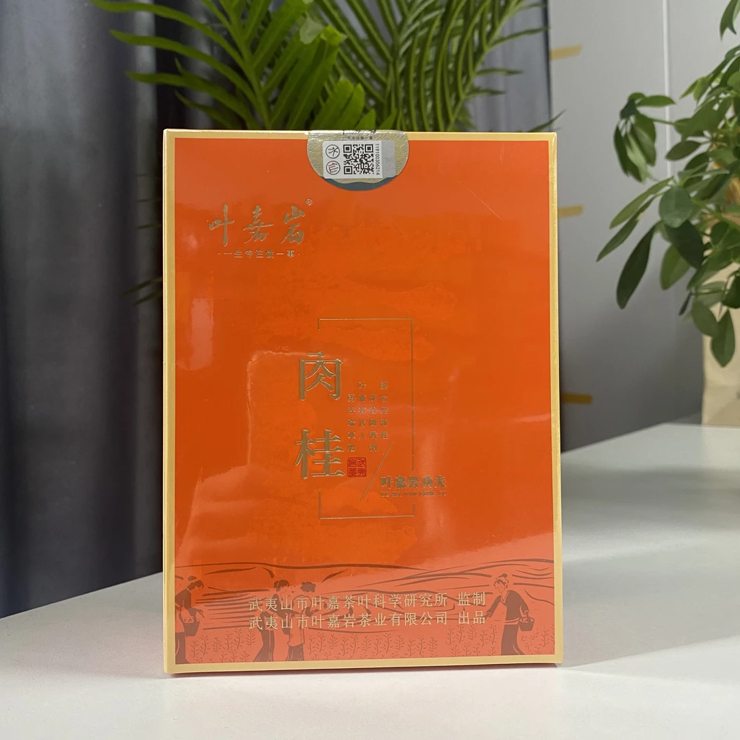 叶嘉岩功夫肉桂100克1盒10泡礼盒装武夷山岩茶大红袍肉桂