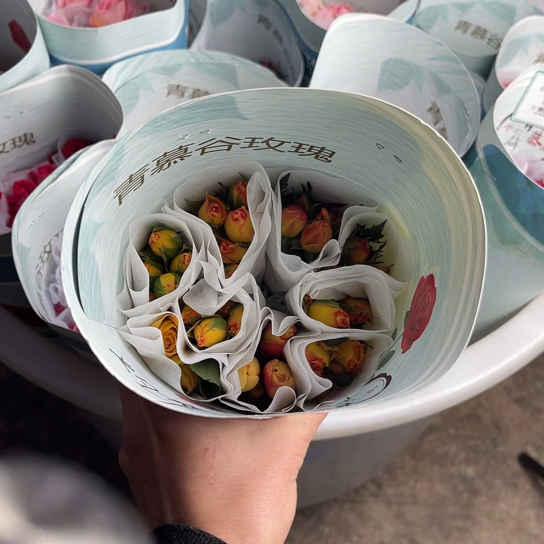 全部花苞青幕谷（灼华）一扎