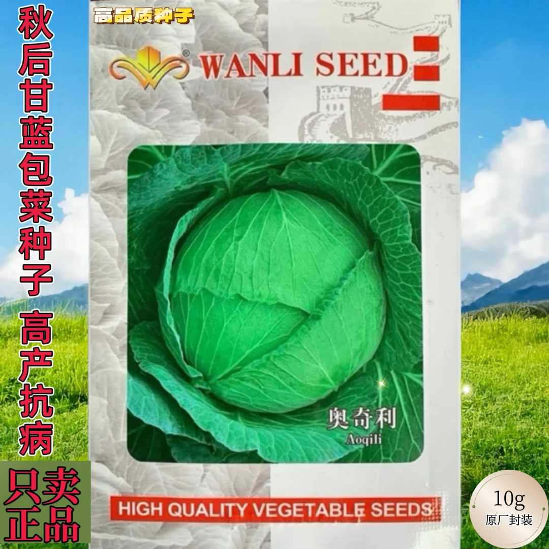 奥奇利65天甘蓝包菜种子早熟耐寒莲花白圆白菜卷心菜包心菜种子