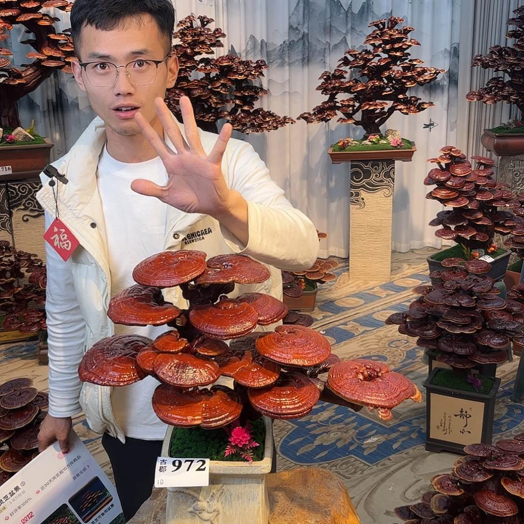 无花朵888888888888